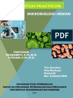 Modul_praktikum_atau_praktek_untuk_setiap_kegiatan_praktikum_atau_praktek_(Mikrobiologi_Hewan)_(prodi) (1)