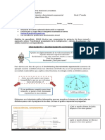 1° Medio Matemática Guia 7