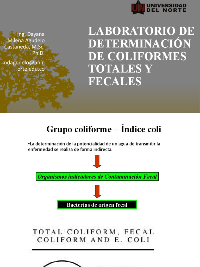 Presentación Determinación de Coliformes | PDF | Enzima | Microbiología