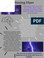 Lightning Flyer