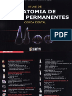 350953639 Livro Atlas de Anatomia de Dentes Permanentes Glauco Fionarelli PDF