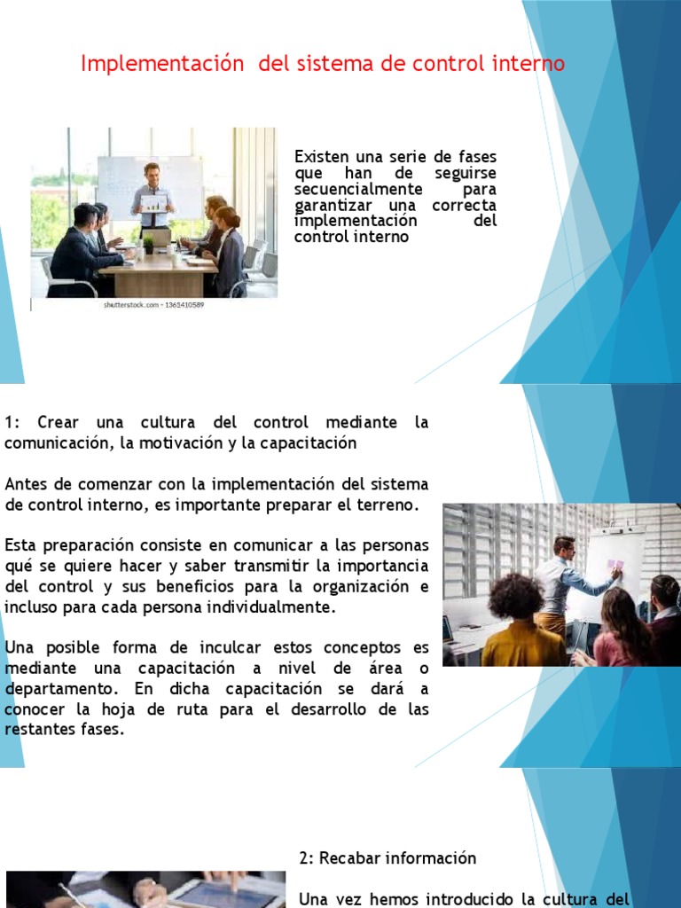 Implementación Del Sistema de Control Interno | PDF | Business | Science