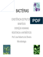 Bactérias 07 04 2016