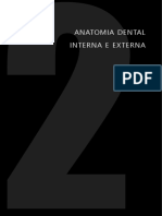 Endodontia Anatomia