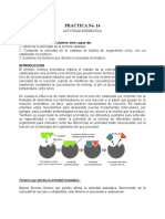 Práctica ACTIVIDAD - ENZIMÁTICA