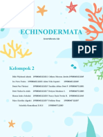 Ppt Echinodermata Kelompok 2