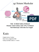 Pertemuan 5. Fisiologi Sistem Muskular