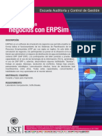 Taller Negocios Con Erpsim: Actividad