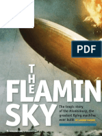 Adapted Flaming Sky Article