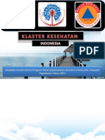 Kluster Kesehatan Bencana