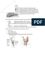 Anatomical Snuffbox