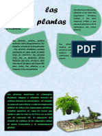 Las Plantas