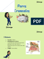 Flash Card Pares Craneales Enfermeryou