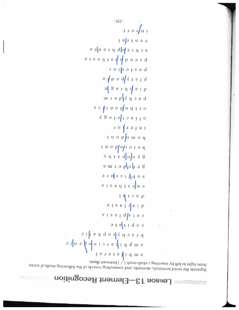 Lesson 13 Element Recognition PDF