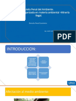 Tutela Penal Del Ambiente