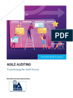 Agile Auditing Book Summary - FNL CRX