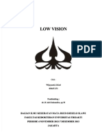 PDF Low Vision DD