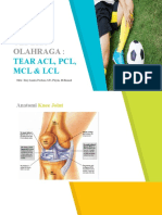 Cedera Olahraga Tear ACL, PCL, LCL, MCL