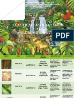 Caracteristicas de Los Seres Vivos. Cuadro Comparativo. Eval#2