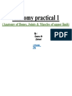 Anatomy Practical 1: (Anatomy of Bones, Joints & Muscles of Upper Limb)