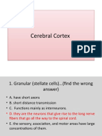 Homework Cerebral Cortex