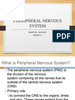 Pheripheral Nervous System: Made By:-Balwan Group:-C
