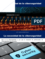 Cyber Seguridad