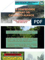 kupdf.net_catamayo-alamor