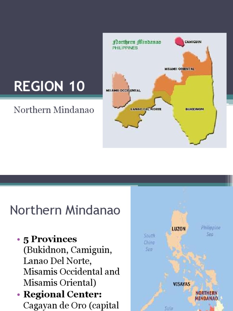 REGION 10 Gonzales, L | PDF | Mindanao