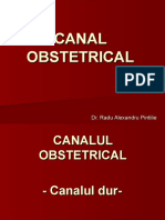 Canal Obstetrical