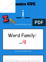 Phonics CVC Letter I Word Family Ig