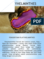 PLATYHELMINTHES