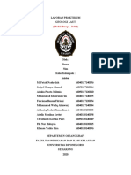 Praktikum Geola 2020 Modul 2 Batuan Beku OSE