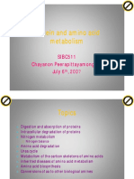 Protein and Amino Acid Metabolism511