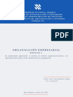 Ensayo 1 - Organización Empresarial - 1ra Parte
