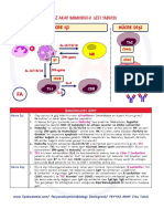 İmmünoloji̇ Özet
