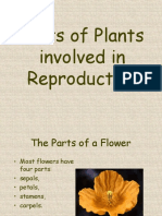 Parts of Plants Involved in Reproduction