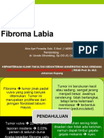 FIBROMA LABIA