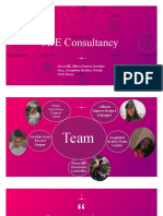 3de Evaluation Consultancy Project