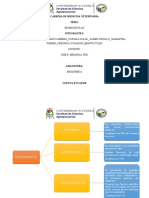 Orgamizador Grafico de Los Biolementos y Biomoleculas.