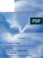 Orbit and Lacrimal System 1