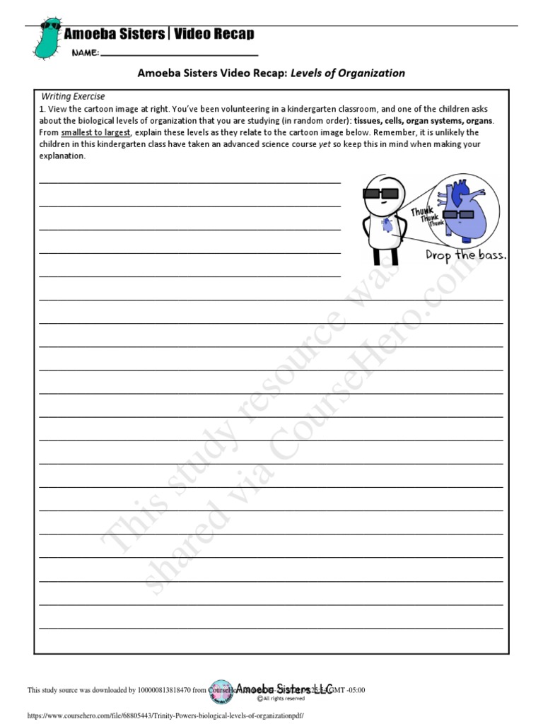 This Study Resource Was Amoeba Sisters Video Recap Levels Of Organization Pdf Organisms Biology