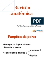 revis_o_anatomica1616934654