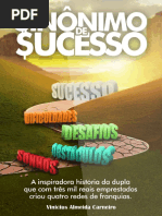 Sinonimo de Sucesso - O GPS Do Empreendedor - Vinicius Almeida