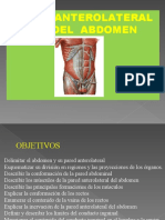 Anatomia de Pared Abdominal