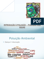 Introducao a Poluicao 3