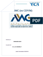 Rapport AMMC (Ex. CDVM)