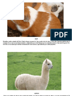 Animales S-16 FAVI