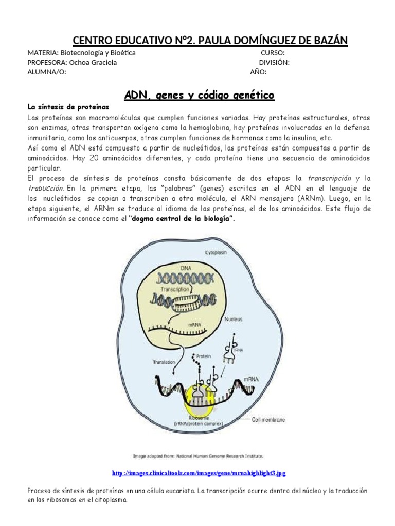 Síntesis de Proteínas y Biotecnología | PDF | Codigo genetico | Rna