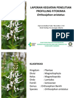 Laporan Kegiatan Penelitian Profilling Fitokimia: Orthosiphon Aristatus